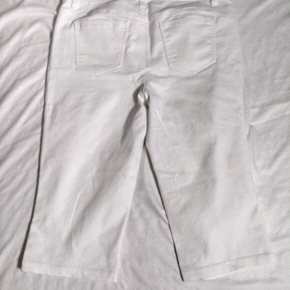 Baccini Capri Pant Size 10 - Picture 4 of 6